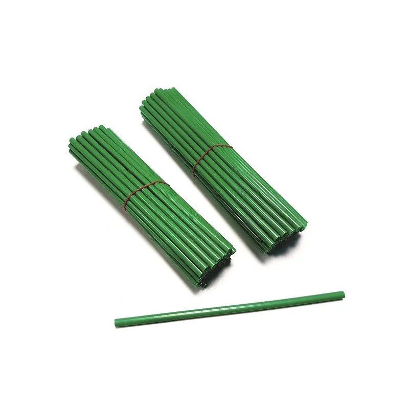 COUVRES RAYONS G2A VERT KAWAZAKI X80 Pièces 1 COUVRES RAYONS G2A VERT KAWAZAKI X80 Pièces