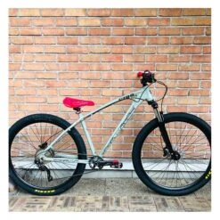 Custom Collective X SeBikes C100 Gris Béton 2022