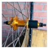 Roue Arrière Custom SeBike 29 Pouces 10v - Wheeling Bike